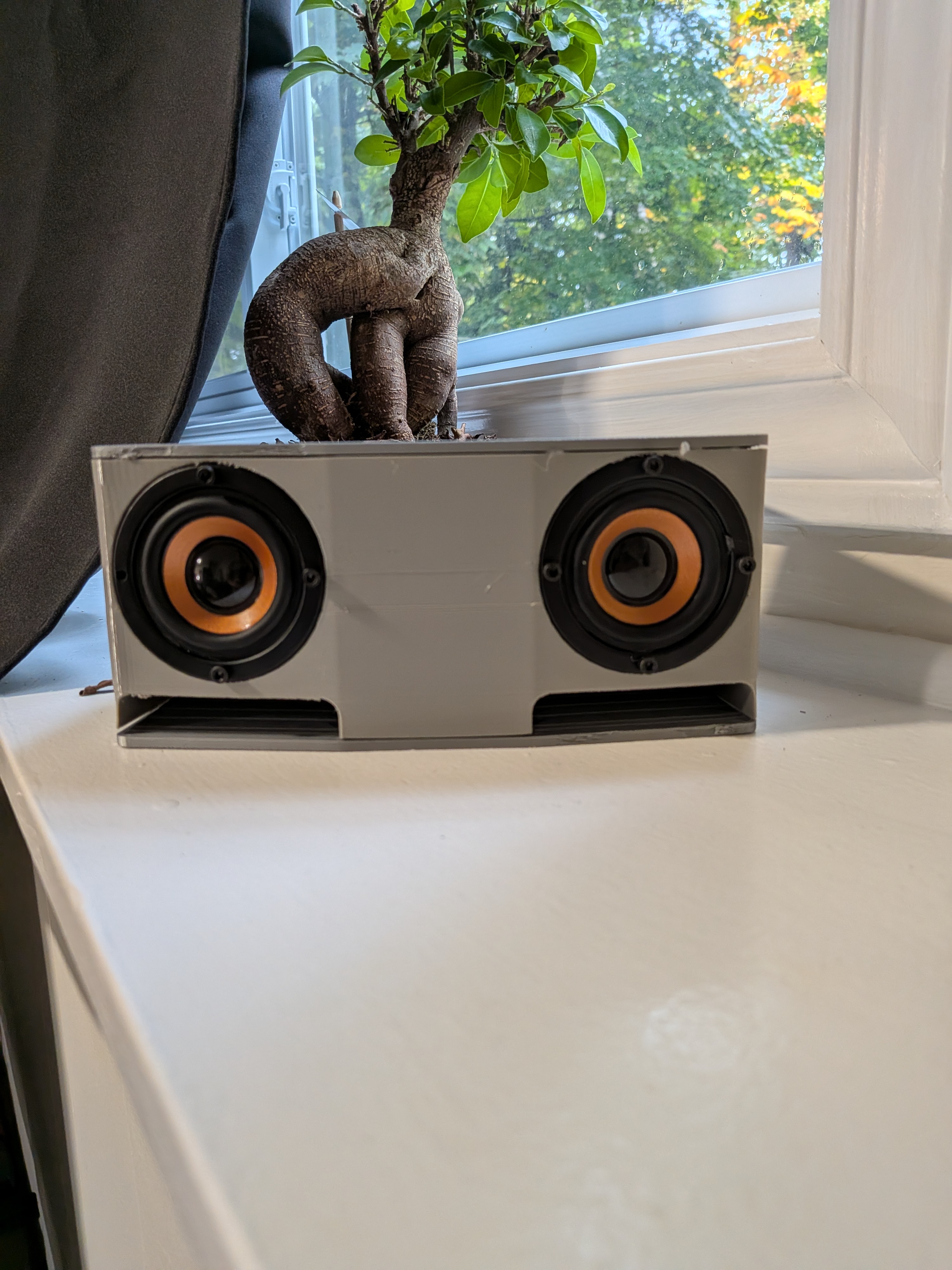 Custom speaker enclosure project